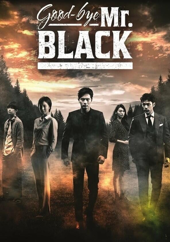 Goodbye Mr. Black - Season 1 Goodbye Mr. Black - Season 1