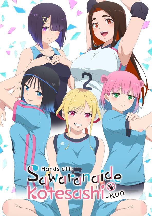 Hands off: Sawaranaide Kotesashi-kun - Season 1