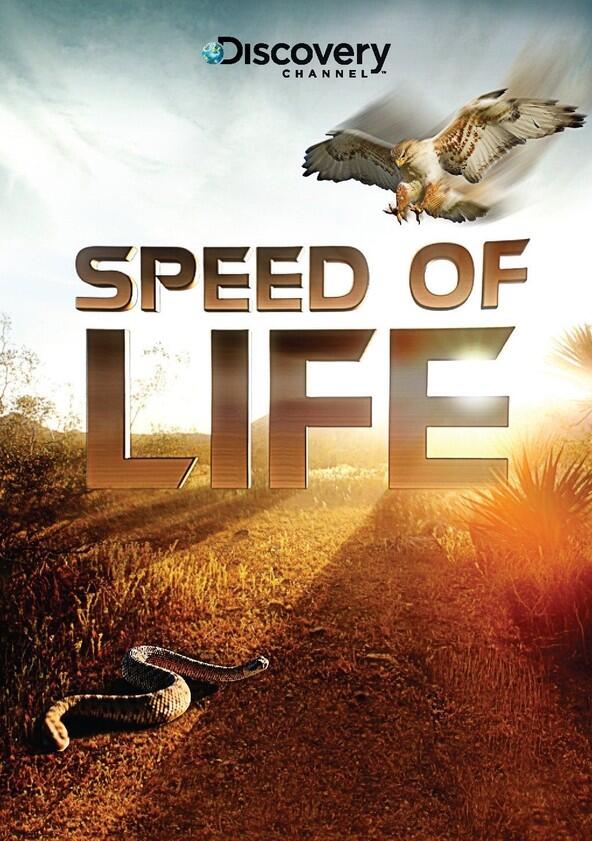Speed of Life - Season 1 Speed of Life - Season 1
