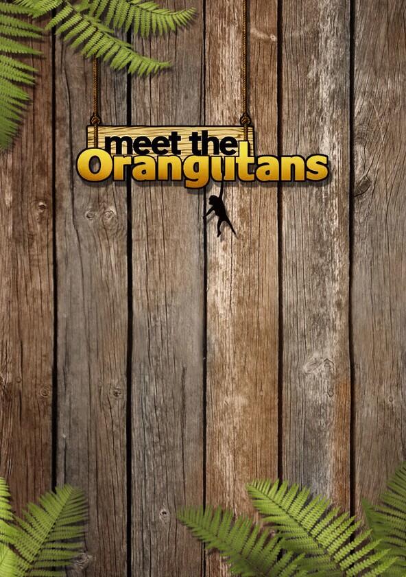 Meet the Orangutans - Season 1 Meet the Orangutans - Season 1