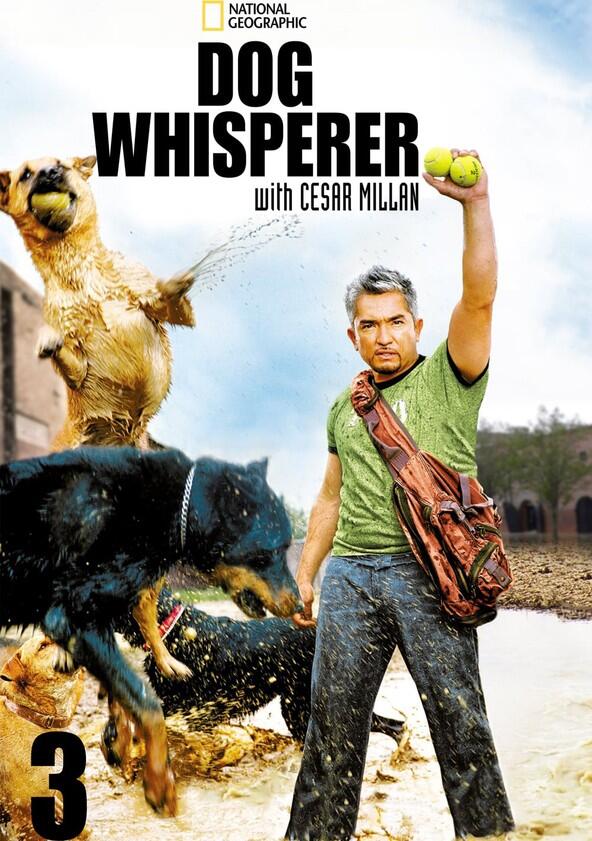 The Dog Whisperer - Season 3 The Dog Whisperer - Season 3