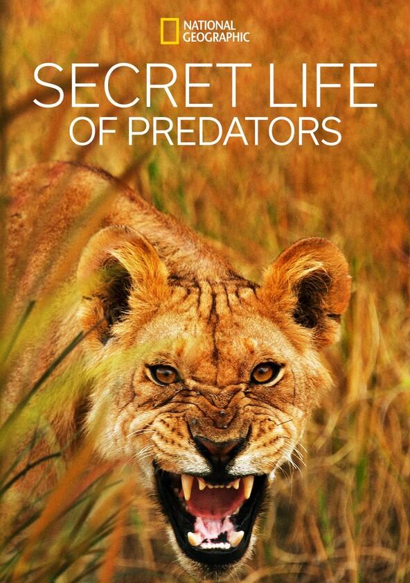 Secret Life of Predators - Season 1 Secret Life of Predators - Season 1