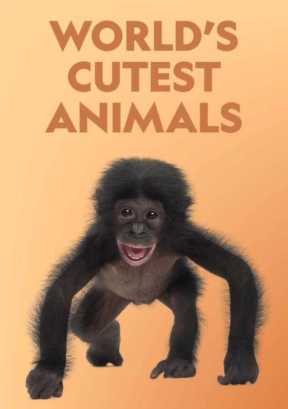 World's Cutest Animals - Season 1 World's Cutest Animals - Season 1