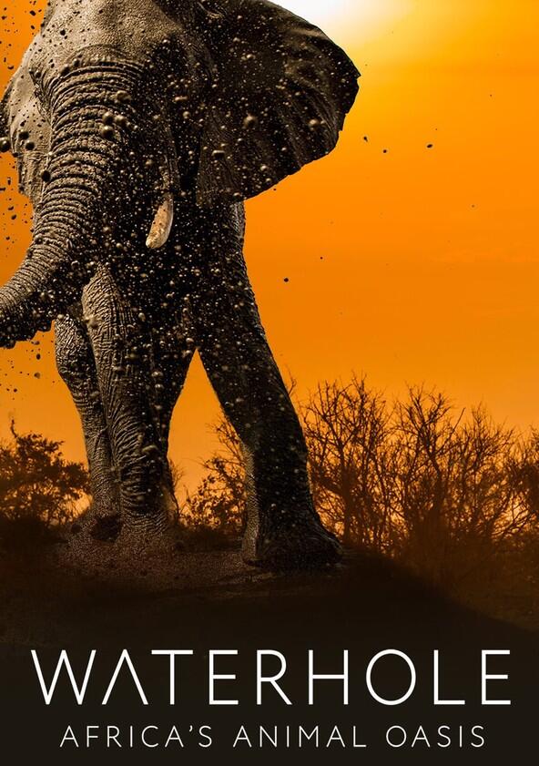 Waterhole: Africa's Animal Oasis - Season 1 Waterhole: Africa's Animal Oasis - Season 1