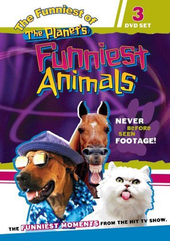 The Planet's Funniest Animals - Season 1 The Planet's Funniest Animals - Season 1