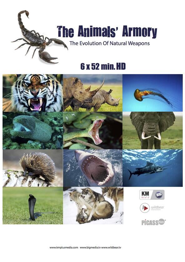 Animal Armory - Season 1 Animal Armory - Season 1