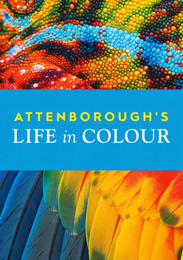 Attenborough's Life in Colour - Season 1 Attenborough's Life in Colour - Season 1