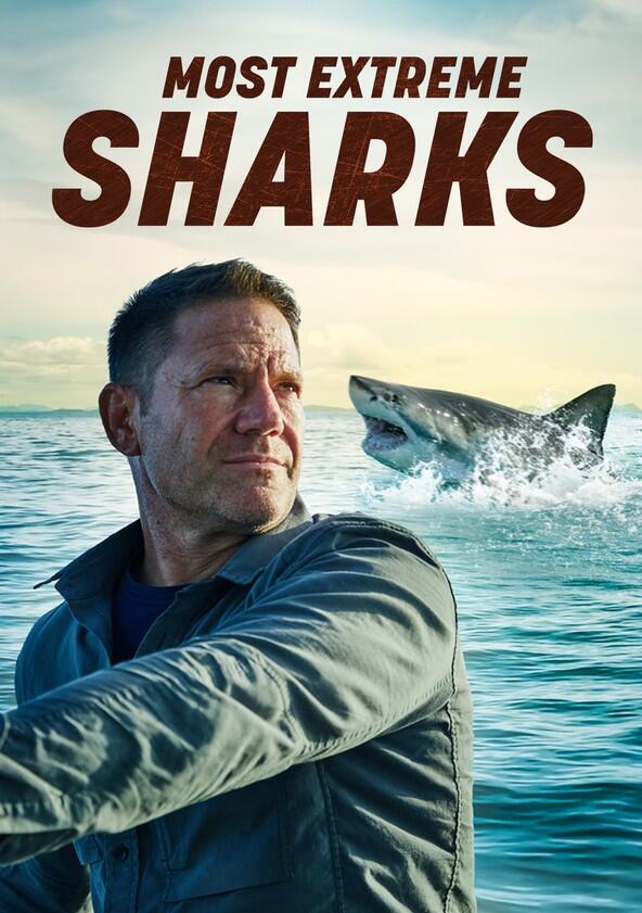 Shark with Steve Backshall - Season 1 Shark with Steve Backshall - Season 1