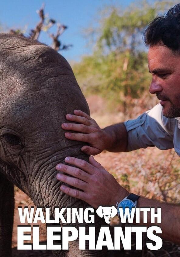 Walking with Elephants - Season 1 Walking with Elephants - Season 1