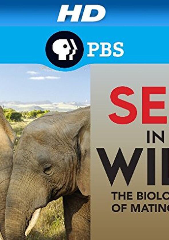 Born in the Wild - Season 1 Born in the Wild - Season 1