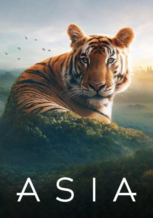 Asia - Season 1 Asia - Season 1