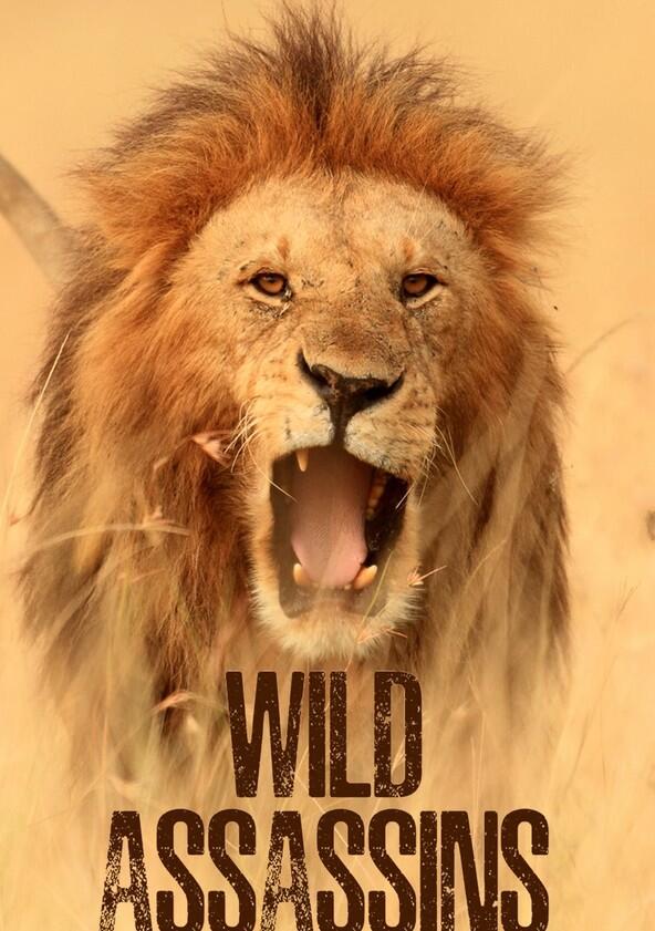 Wild Assassins - Season 1 Wild Assassins - Season 1