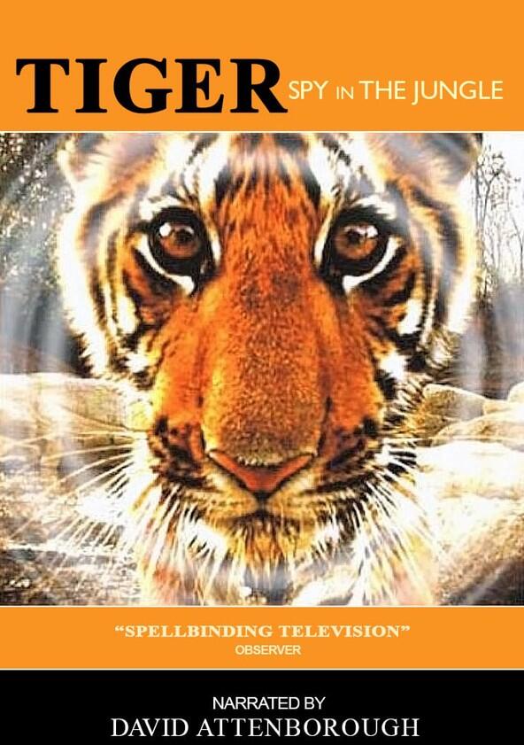 Tiger - Spy in the Jungle - Season 1 Tiger - Spy in the Jungle - Season 1