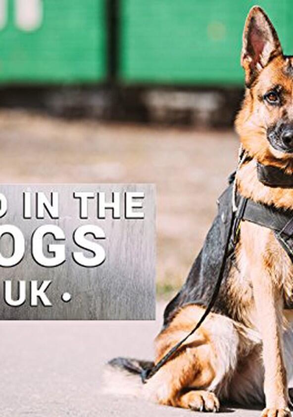 Send in the Dogs - Season 1 Send in the Dogs - Season 1