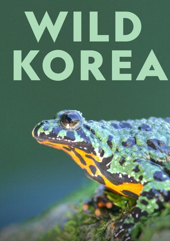 Wild Korea - Season 1