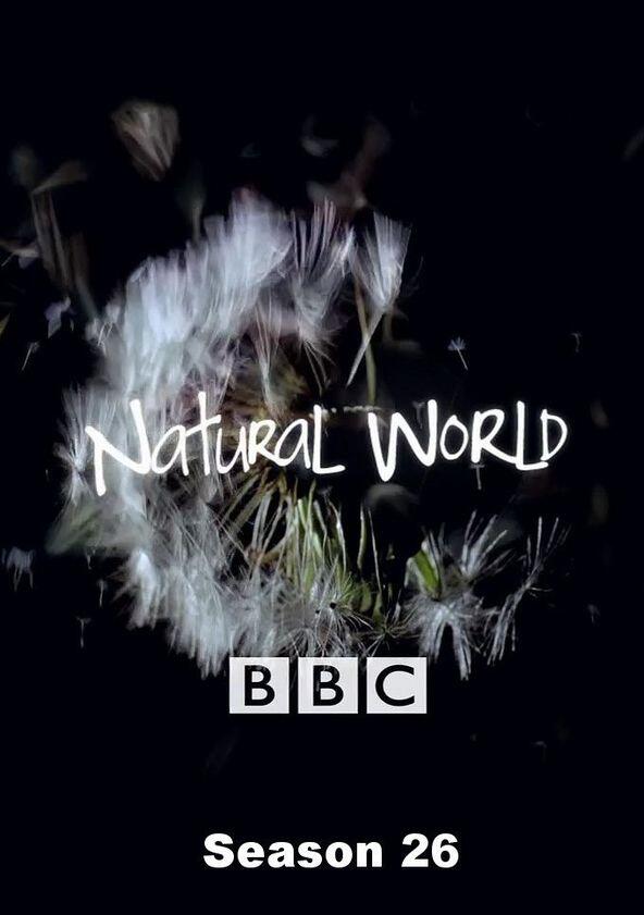 Natural World - Season 26 Natural World - Season 26