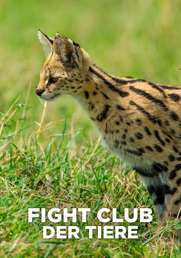 Nature's Fight Club - Season 1 Nature's Fight Club - Season 1