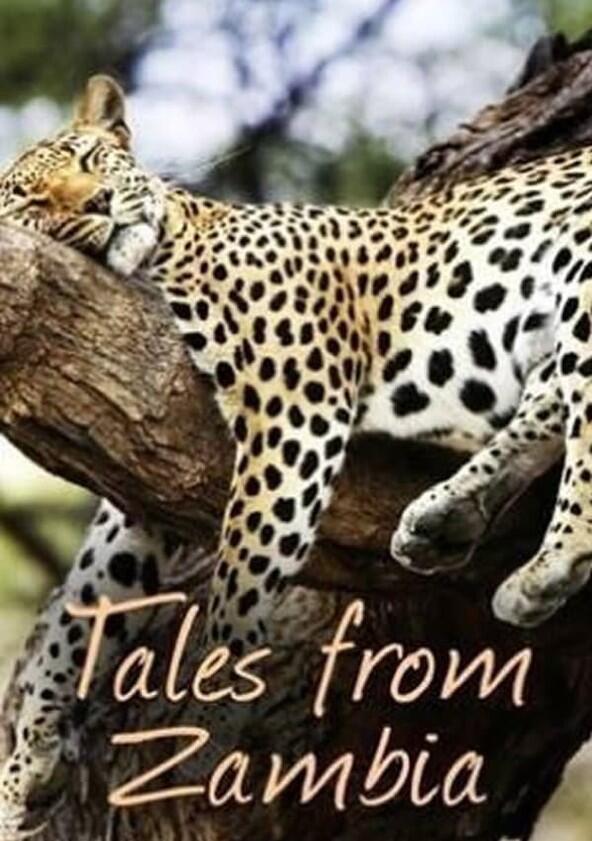 Tales from Zambia - Season 2