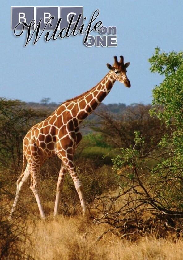 Wildlife on One - Season 9