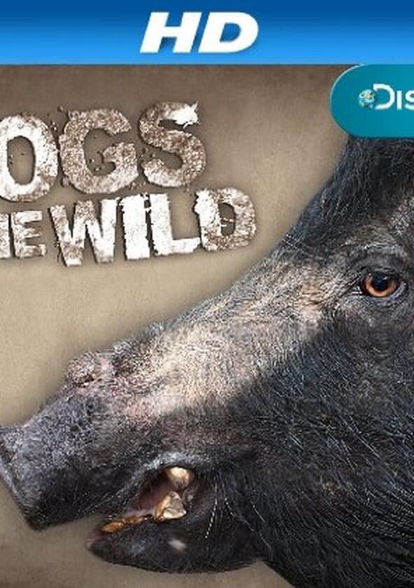 Hogs Gone Wild - Season 1 Hogs Gone Wild - Season 1
