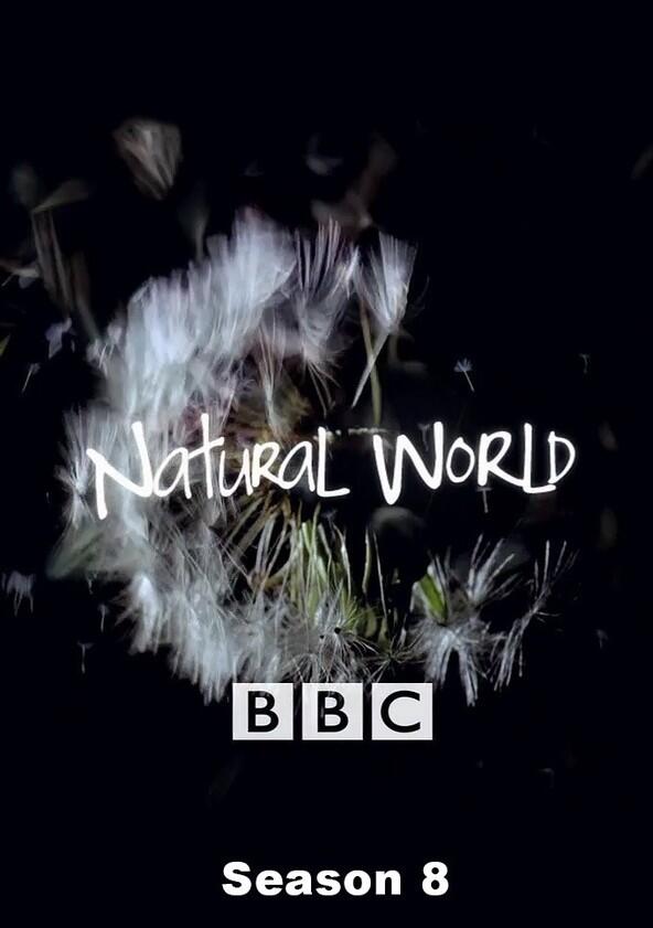 Natural World - Season 8 Natural World - Season 8