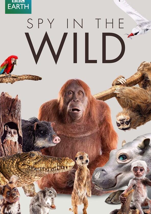 Spy in the Wild - Season 1 Spy in the Wild - Season 1