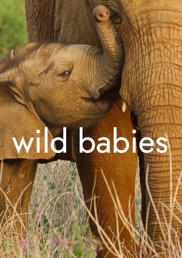 Wild Babies - Season 1 Wild Babies - Season 1