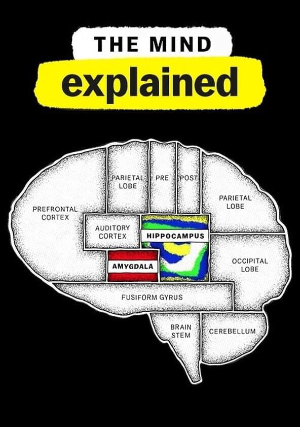 The Mind, Explained - Season 2 The Mind, Explained - Season 2