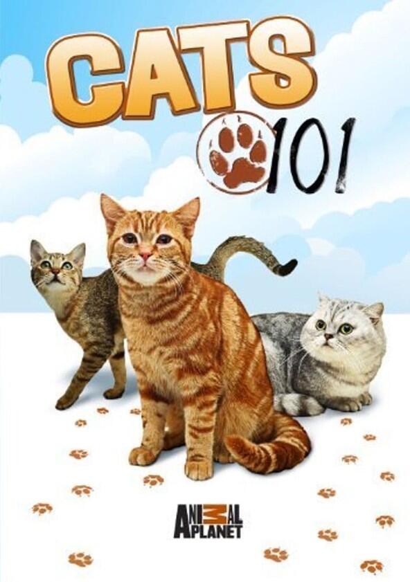 Cats 101 - Season 1 Cats 101 - Season 1