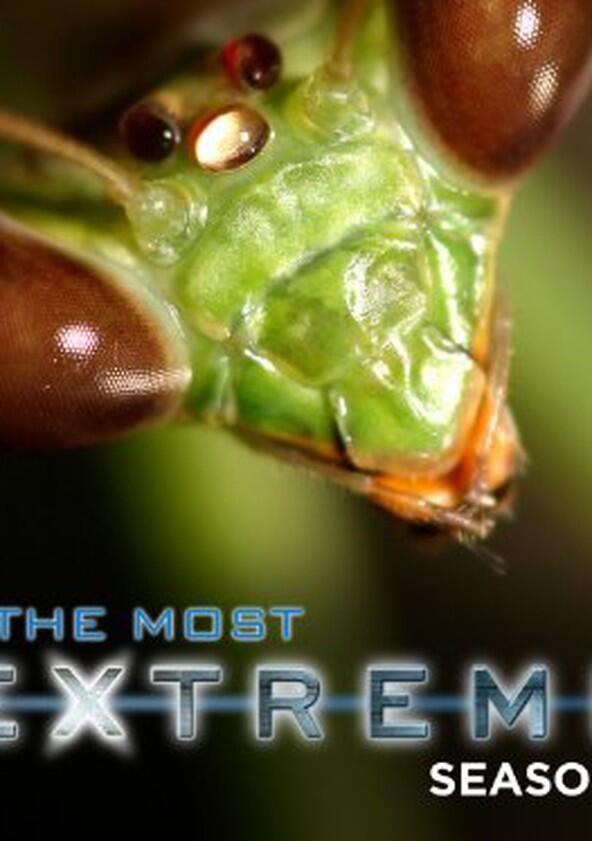 The Most Extreme - Season 2