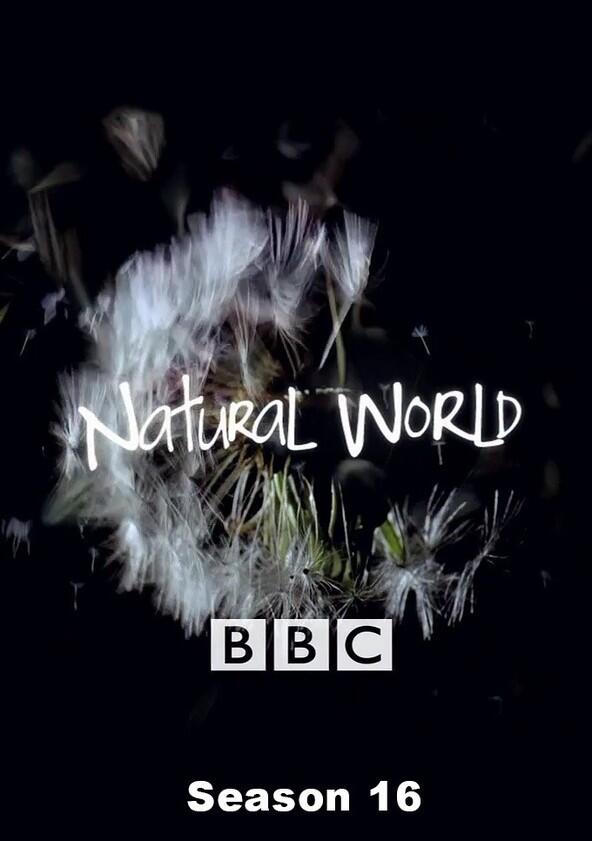 Natural World - Season 16 Natural World - Season 16