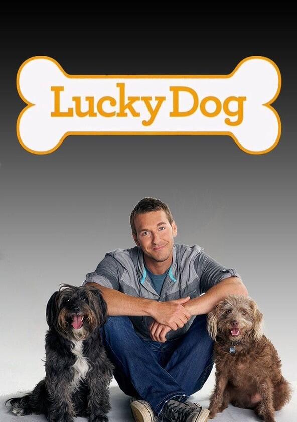 Lucky Dog - Season 2 Lucky Dog - Season 2