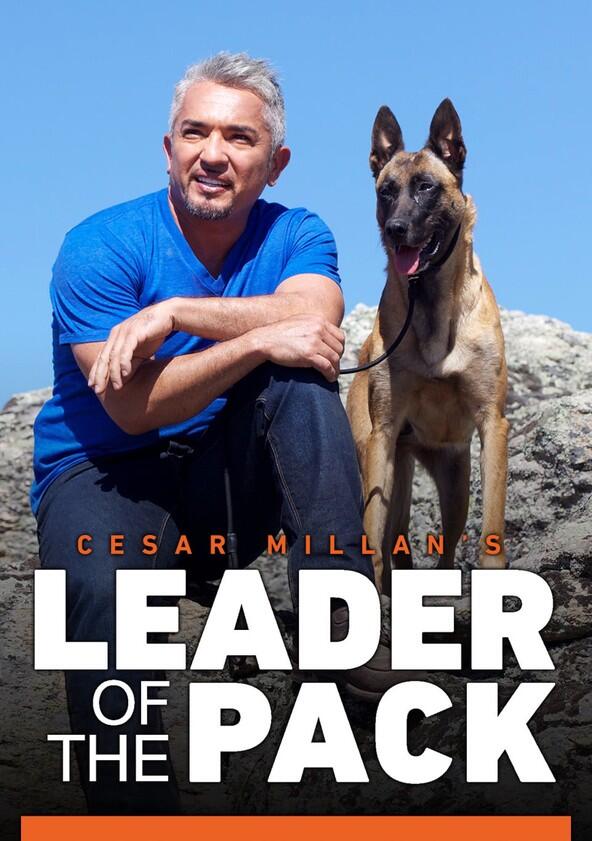 Cesar Millan's Leader of the Pack - Season 1 Cesar Millan's Leader of the Pack - Season 1