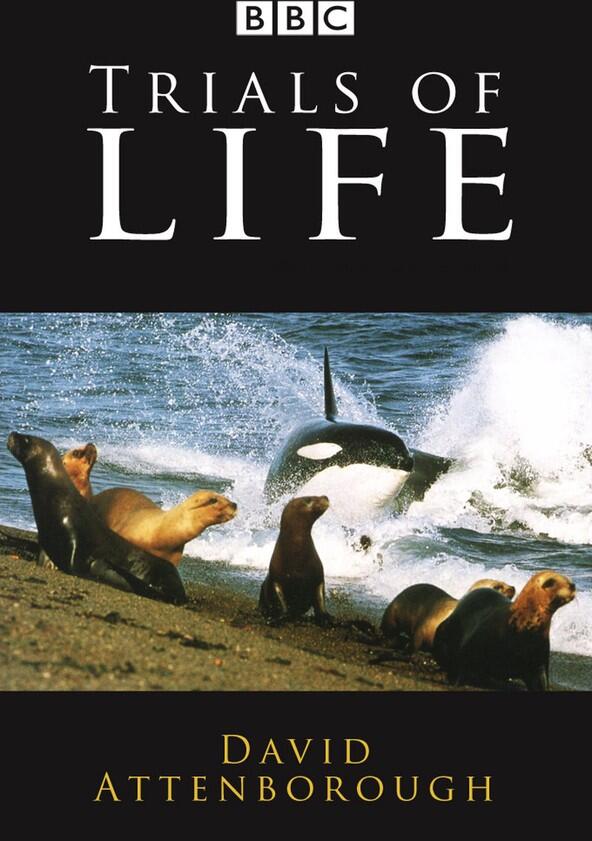 The Trials of Life: A Natural History of Behaviour - Season 1