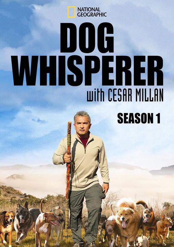 The Dog Whisperer - Season 1 The Dog Whisperer - Season 1