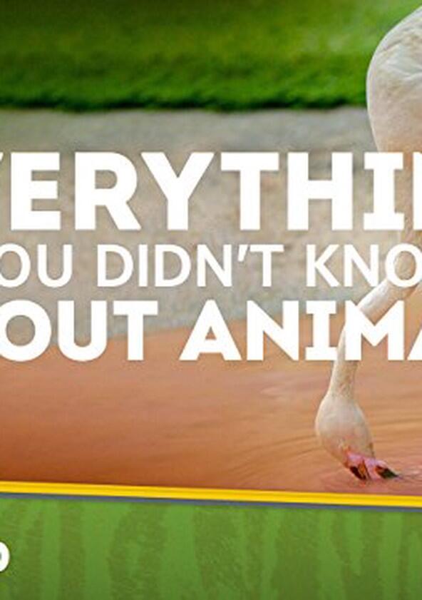 Everything You Didn't Know About Animals - Season 1 Everything You Didn't Know About Animals - Season 1