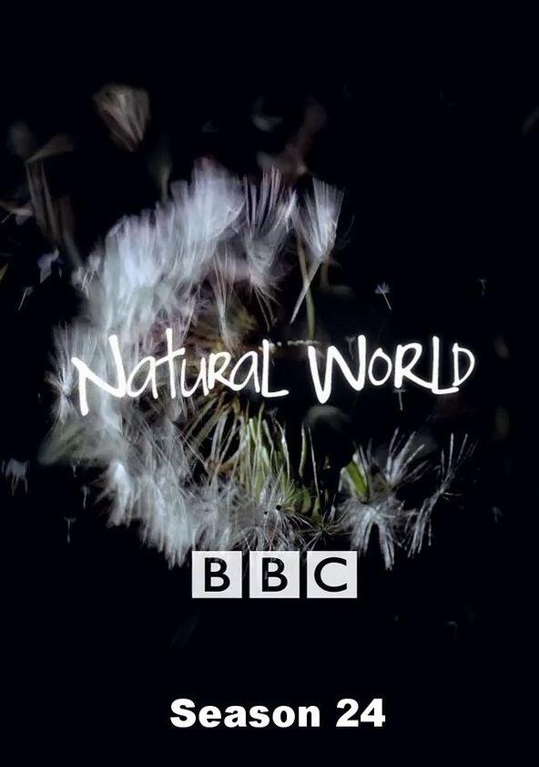 Natural World - Season 24 Natural World - Season 24
