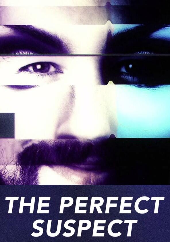 The Perfect Suspect - Season 1