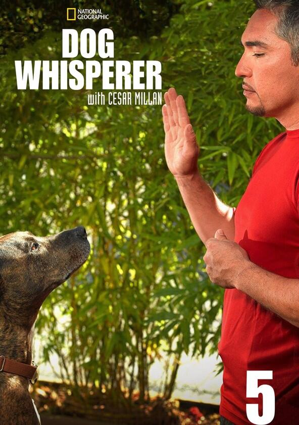 The Dog Whisperer - Season 5 The Dog Whisperer - Season 5