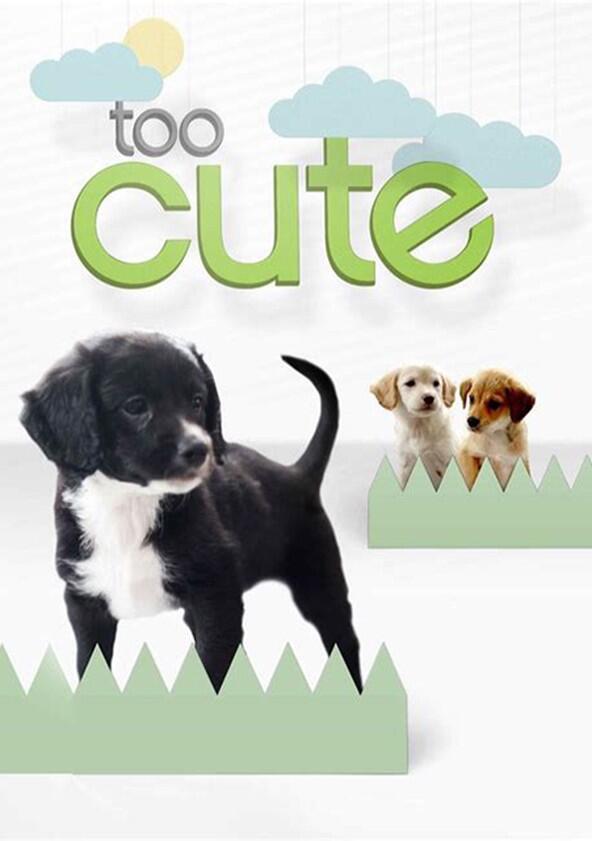 Too Cute! - Season 5 Too Cute! - Season 5