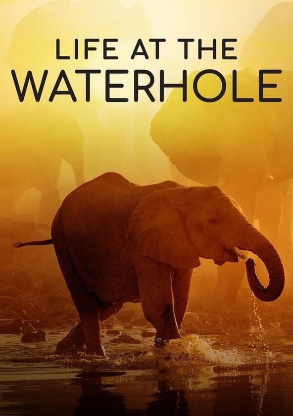 Life at the Waterhole - Season 1 Life at the Waterhole - Season 1