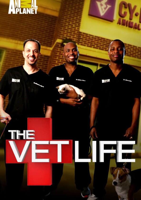 The Vet Life - Season 3