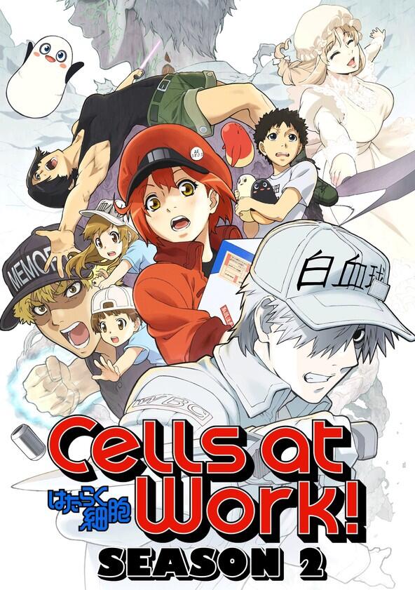 Cells at Work! - Season 2 Cells at Work! - Season 2