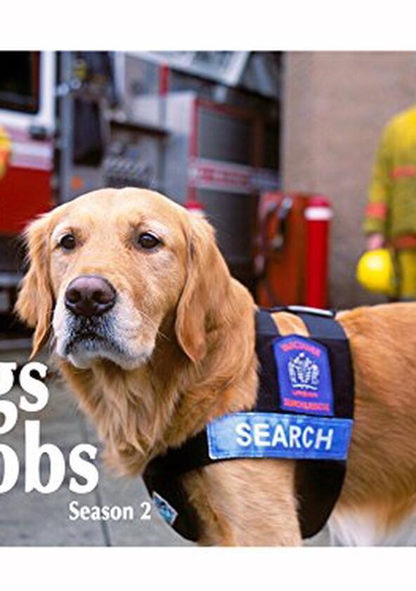 Dogs with Extraordinary Jobs - Season 1 Dogs with Extraordinary Jobs - Season 1