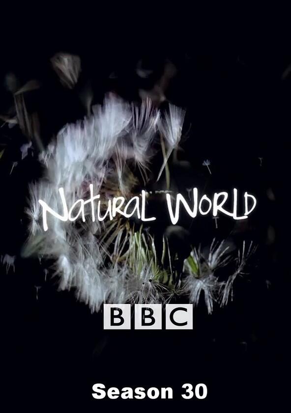Natural World - Season 30 Natural World - Season 30