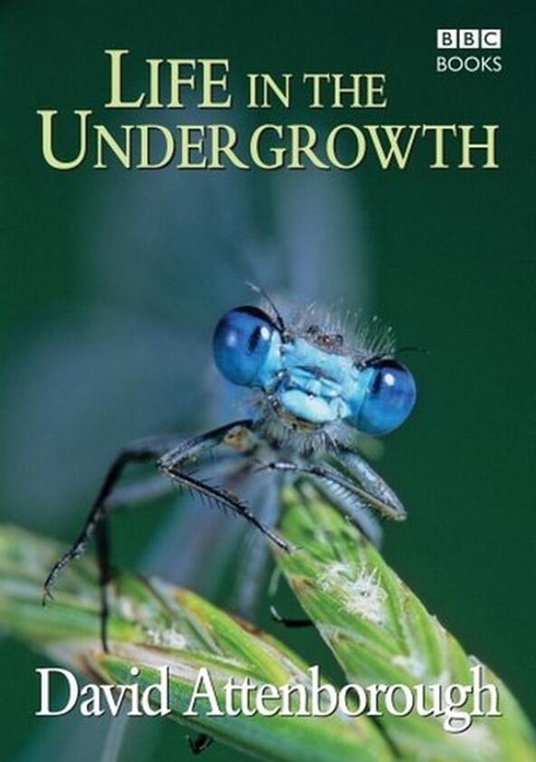 Life in the Undergrowth - Season 1 Life in the Undergrowth - Season 1