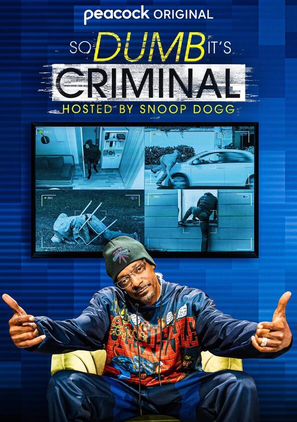 So Dumb It's Criminal - Season 1 So Dumb It's Criminal - Season 1