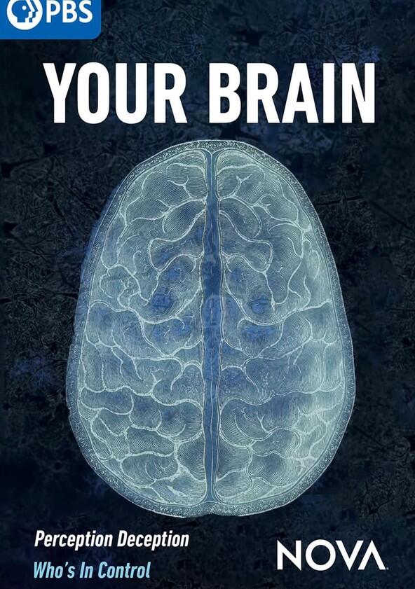 Your Brain Your Brain