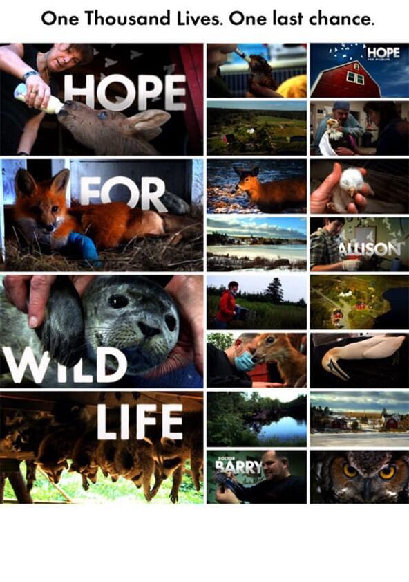 Hope for Wildlife - Season 9