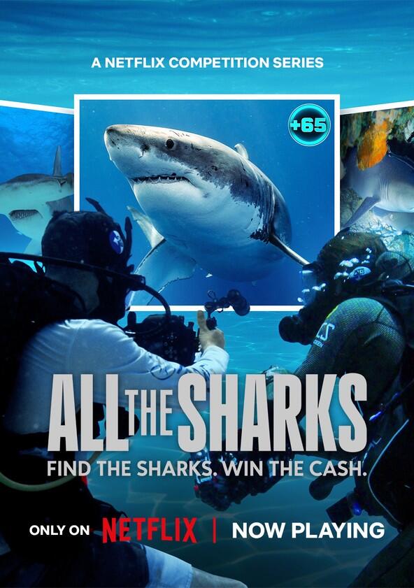 All the Sharks - Season 1 All the Sharks - Season 1